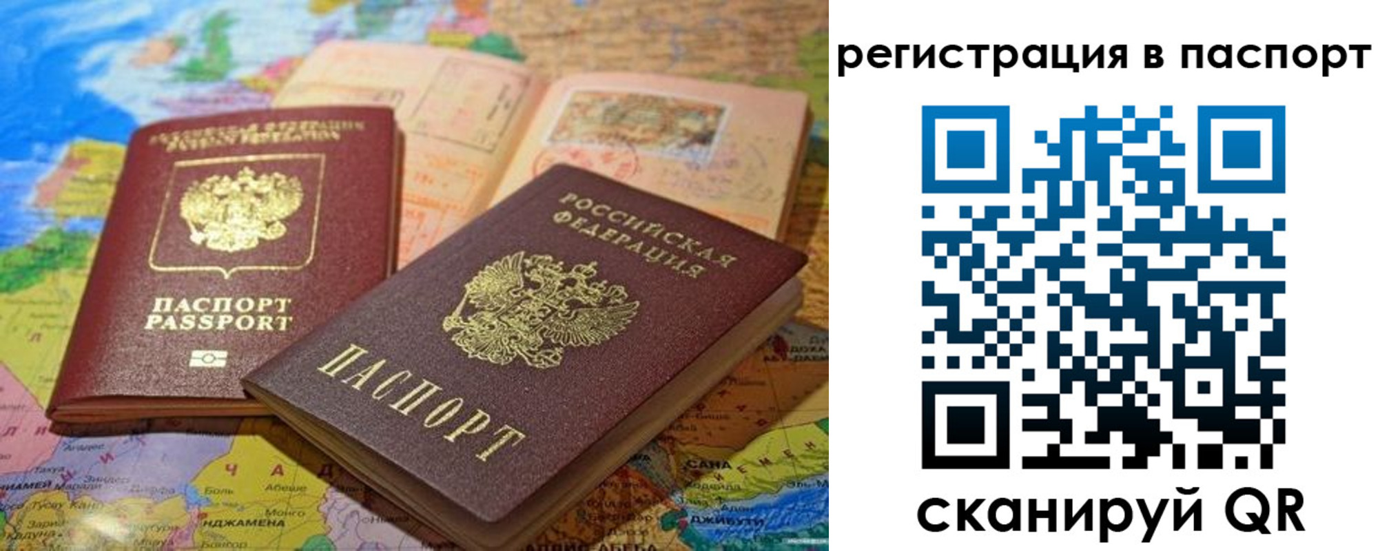 временная регистрация гарантия в Долгопрудном
